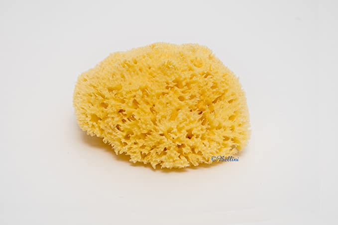 Bellini Natural Sea Sponge Honeycomb