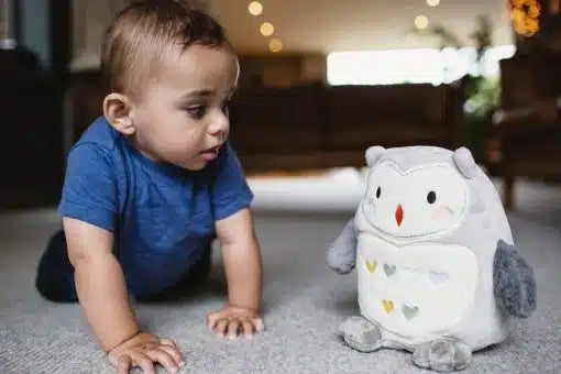 Tommee Tippee Ollie Owl Recharge Grofriend