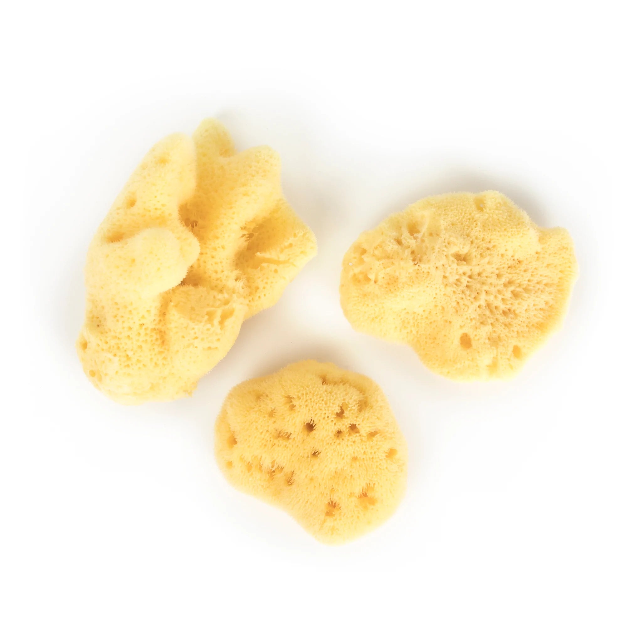 Bellini Natural Sea Sponge Silkfine