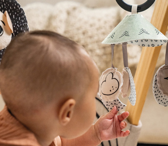 Black & White Décor Luxe Developmental Gymini®