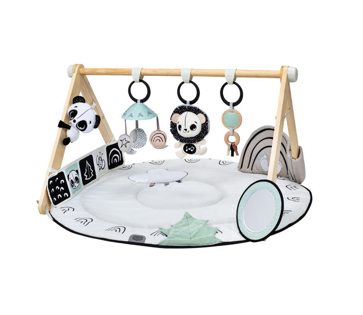 Black & White Décor Luxe Developmental Gymini®