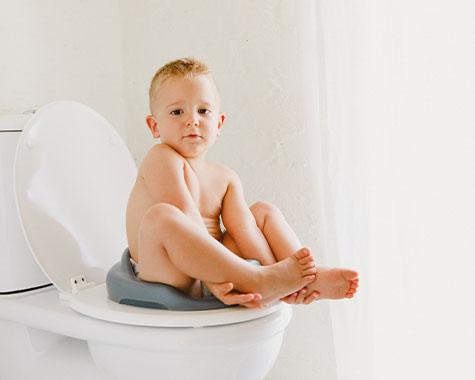 Bumbo toilet trainer