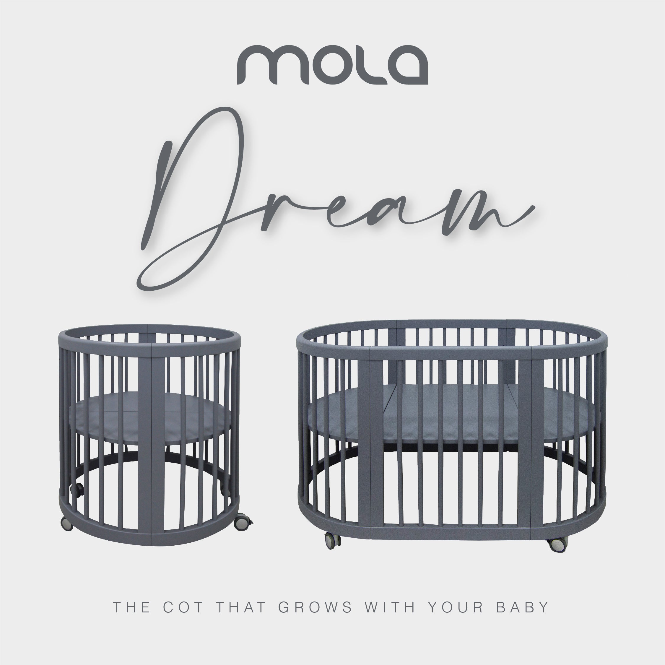 Mola Dream Convertible Cot